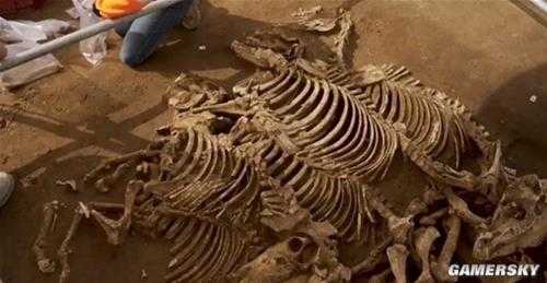 法国墓穴发现2000年前马匹遗骸 很可能是恺撒大帝的高卢战争