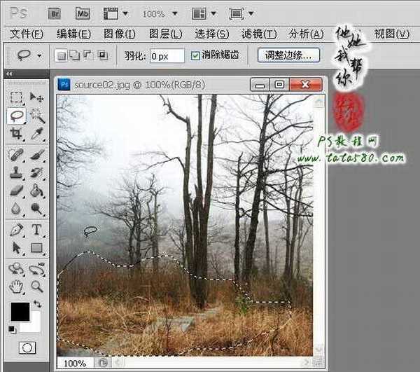 Photoshop制作寂静恐怖的丛林电影海报教程