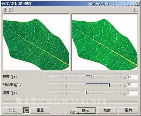 CorelDRAW(CDR)设计制作环保宣传海报实例教程