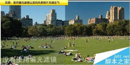 新手必看:摄影入门必学知识详解