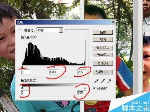 PS在一张4R纸上制作出多个尺寸和多张生活照的证件照片