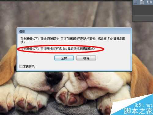 ps怎么全屏显示?PS全屏化预览及退出全屏