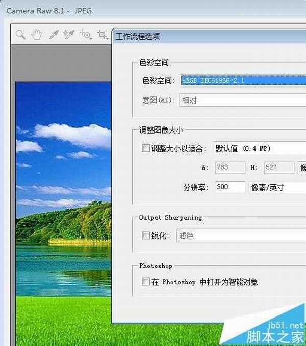 PS Camera Raw插件处理图片颜色饱和度降低怎么办?