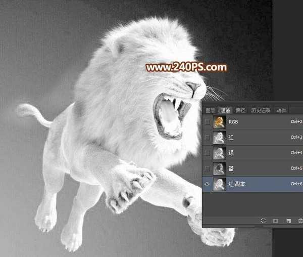 Photoshop巧用通道抠图完美抠出毛茸茸的狮子教程