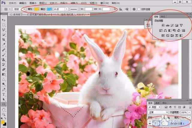 ps兔子海报怎么做后期调色?