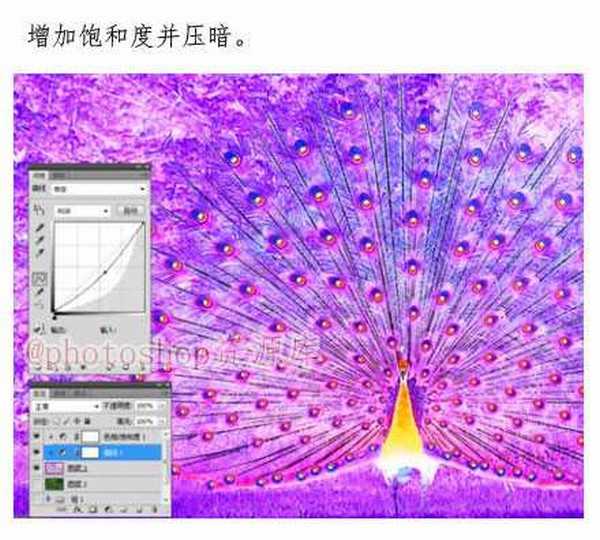 PS怎么抠出绿孔雀?PS详解开屏的绿孔雀抠图教程