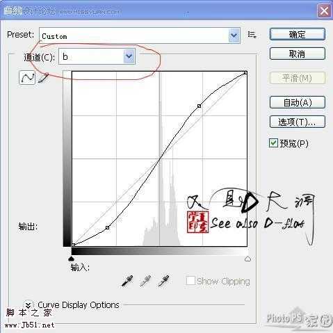 超精细的美女转淡红色手绘效果